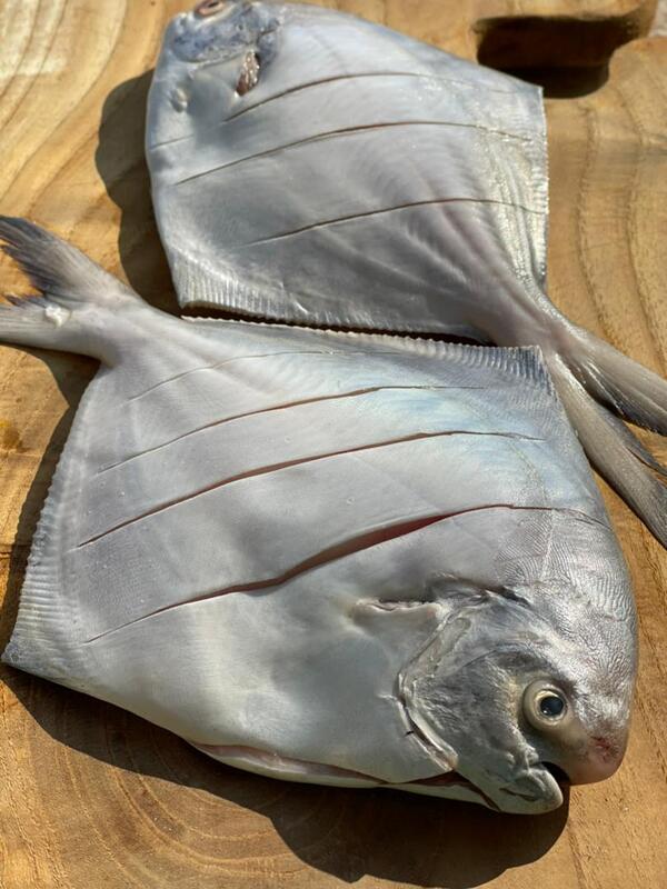 ماهی حلواسفید درشت(300/400گرم)